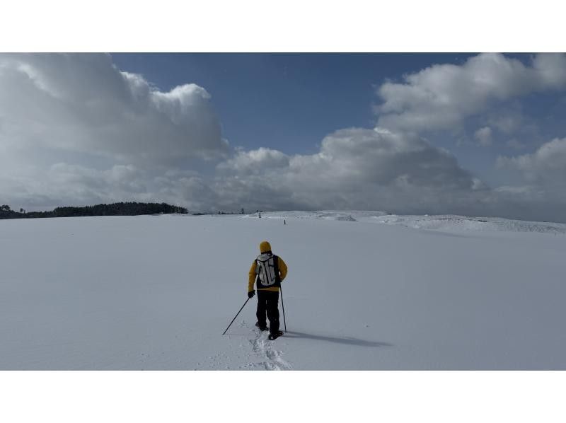 【鳥取・鳥取市】スノーシューを使って白銀の鳥取砂丘をガイドと一緒にo砂n歩（おさんぽ）しよう！の紹介画像