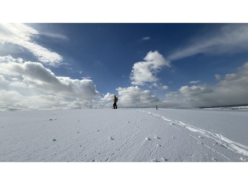 【鳥取・鳥取市】スノーシューを使って白銀の鳥取砂丘をガイドと一緒にo砂n歩（おさんぽ）しよう！の紹介画像