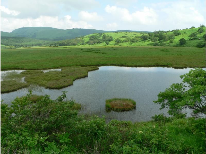 【長野・霧ヶ峰】八島湿原 1時間 プライベートガイド～ご希望の日時でご案内 おひとり様・ファミリー大歓迎♪の紹介画像