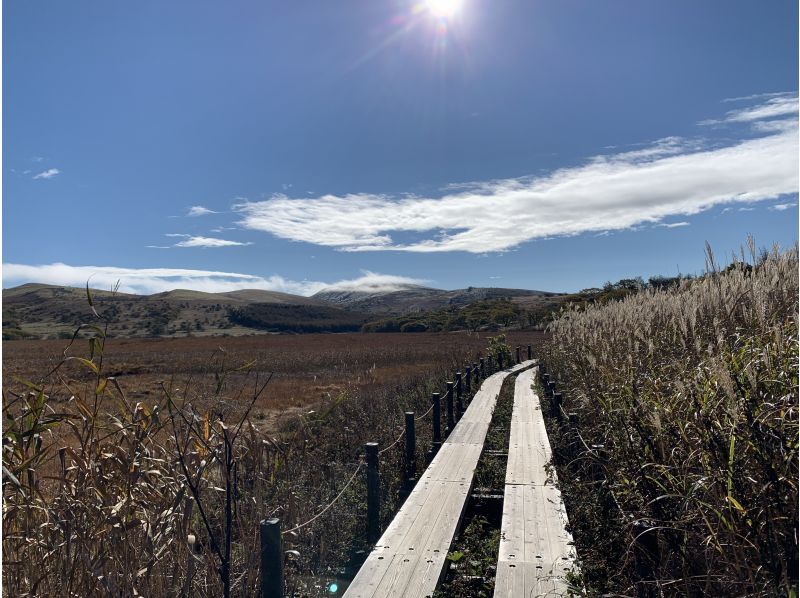 【長野・霧ヶ峰】冬の八島湿原 １時間 プライベートガイド～ご希望の日時で おひとり様・ファミリー大歓迎♪の紹介画像