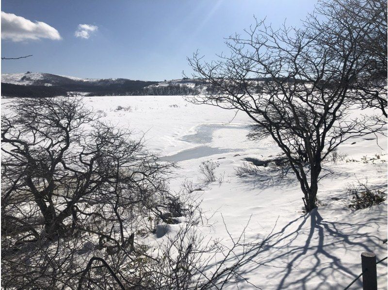 【長野・霧ヶ峰】冬の八島湿原 １時間 プライベートガイド～ご希望の日時で おひとり様・ファミリー大歓迎♪の紹介画像