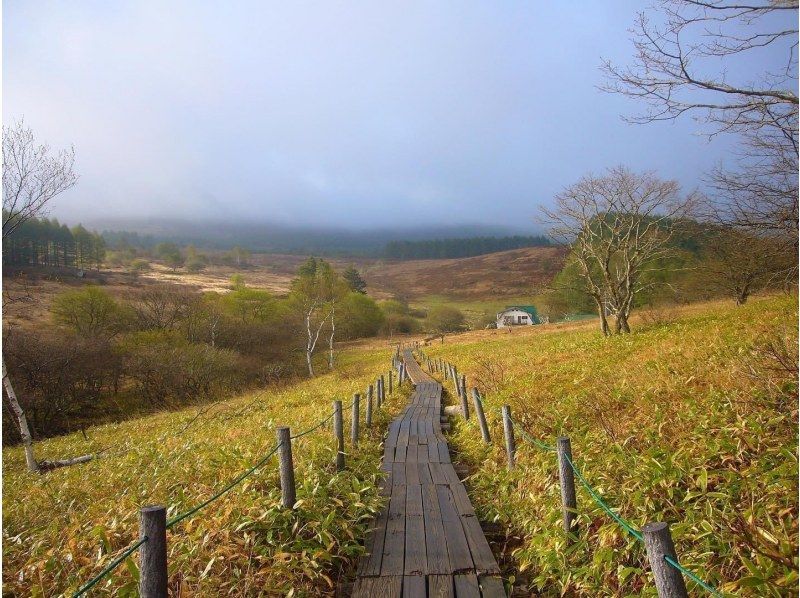 【長野・霧ヶ峰】冬の八島湿原 2時間 プライベートガイド～ご希望の日時で おひとり様・ファミリー大歓迎♪の紹介画像