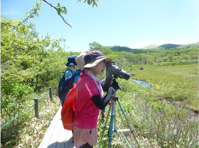 【長野・霧ヶ峰】八島湿原 2時間 プライベートガイド～ご希望の日時で おひとり様・ファミリー大歓迎♪の紹介画像