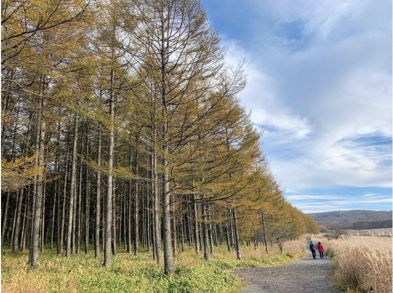 【長野・霧ヶ峰】冬の八島湿原 ３時間 プライベートガイド～ご希望の日時で おひとり様・ファミリー大歓迎♪の紹介画像