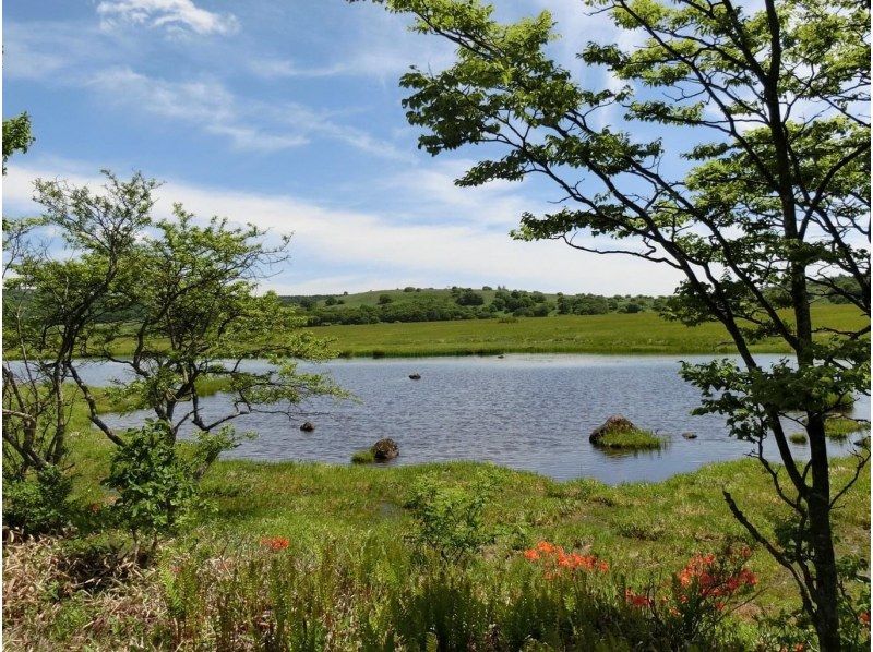 【長野・霧ヶ峰】八島湿原 ３時間 プライベートガイド～ご希望の日時で おひとり様・ファミリー大歓迎♪の紹介画像