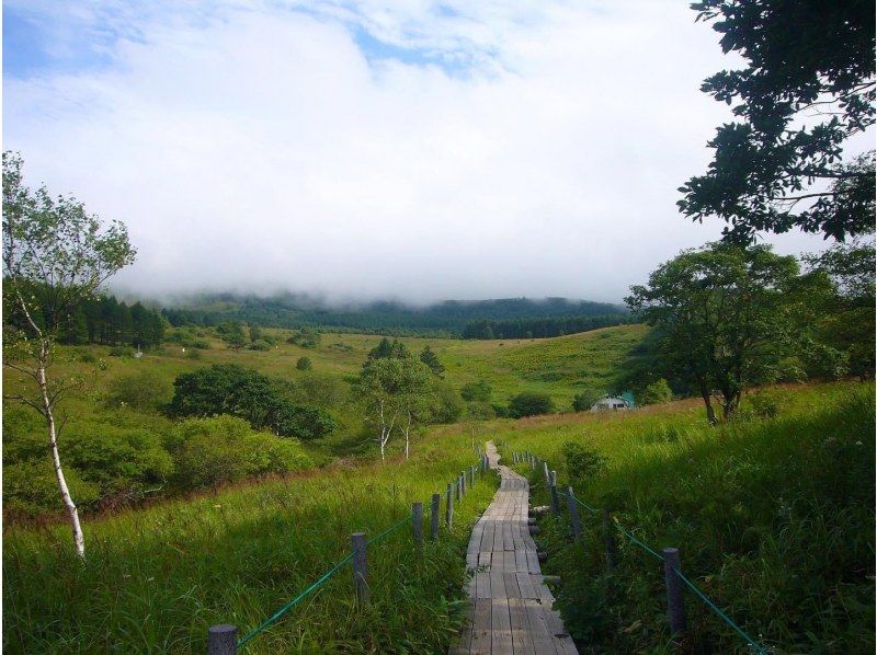 【長野・霧ヶ峰】八島湿原 ３時間 プライベートガイド～ご希望の日時で おひとり様・ファミリー大歓迎♪の紹介画像