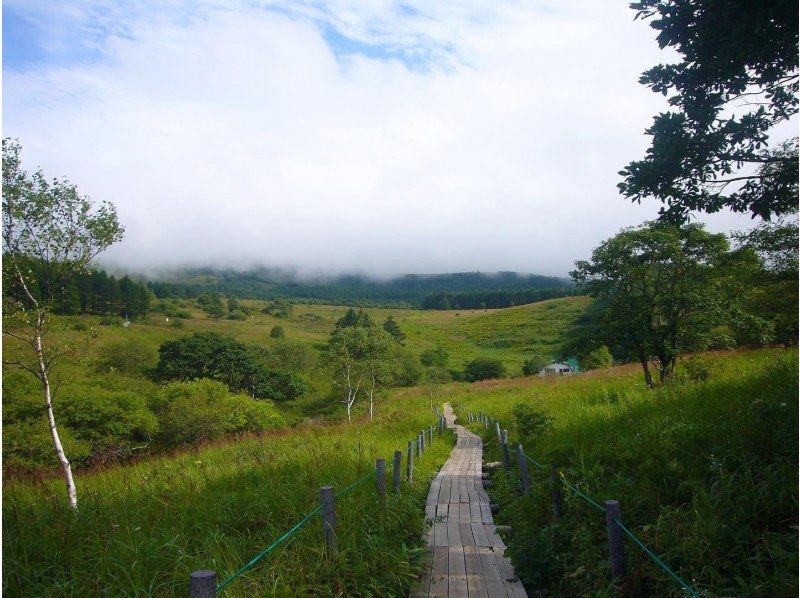 【長野・霧ヶ峰】山小屋ランチ付き♪八島湿原ウォーク～ガイドと歩く霧ヶ峰 4時間の紹介画像
