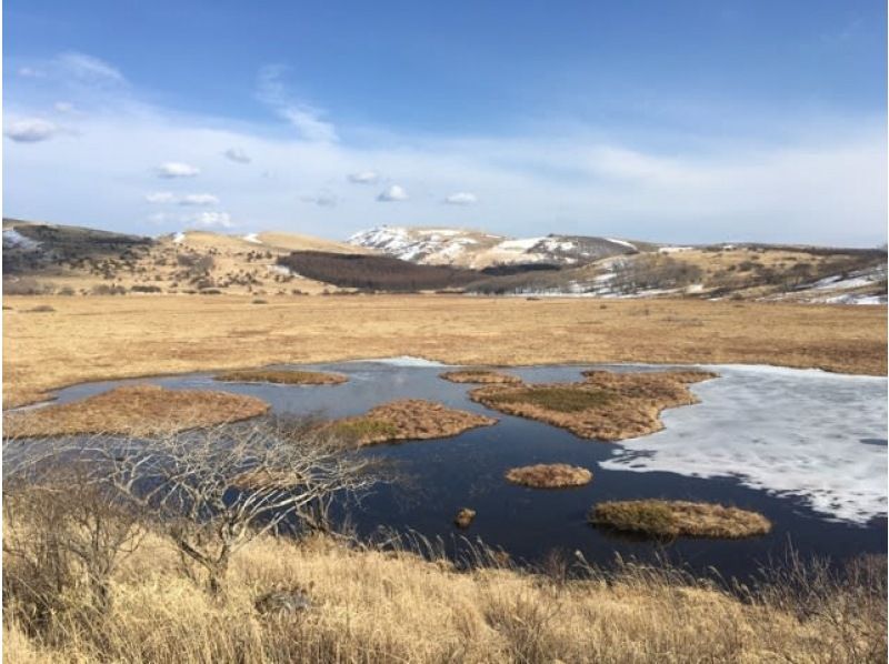 【長野・霧ヶ峰】冬の八島湿原１時間 プライベートガイド～ご希望の日時で おひとり様・ファミリー大歓迎の紹介画像
