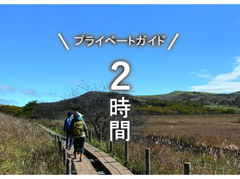 【長野・霧ヶ峰】冬の八島湿原２時間 プライベートガイド～ご希望の日時で おひとり様・ファミリー大歓迎の紹介画像