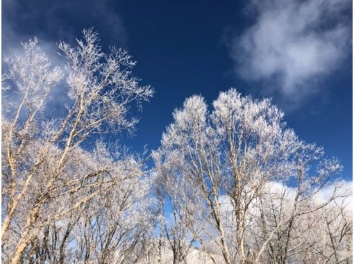 【長野・霧ヶ峰】山小屋ランチ付き♪ 冬の八島湿原ウォーク~ガイドと歩く霧ヶ峰 4時間 【長野・霧ヶ峰】山小屋ランチ付き♪ 冬の八島湿原ウォーク~ガイドと歩く霧ヶ峰 4時間