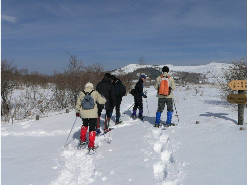 【長野・霧ヶ峰】スノーシュー八島湿原ウォーク（ランチ付き4時間）の紹介画像