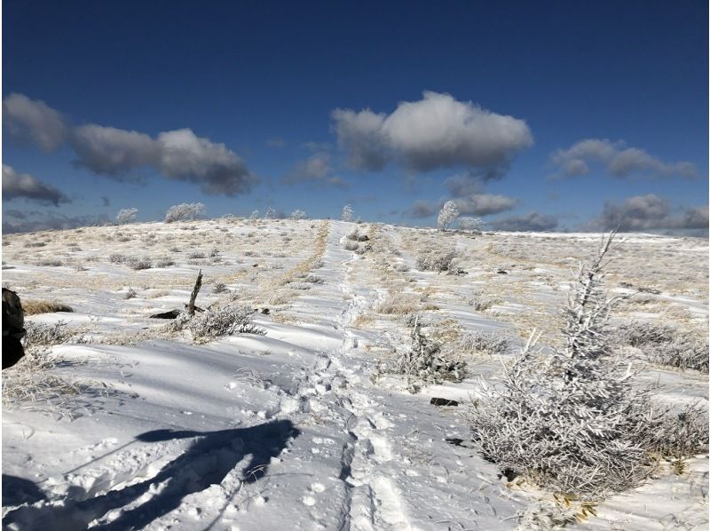 【長野・霧ヶ峰】スノーシュー八島湿原ウォーク（ランチ付き4時間）の紹介画像