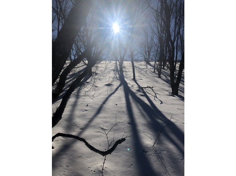 【長野・霧ヶ峰】スノーシュー八島湿原ウォーク（ランチ付き4時間）の紹介画像