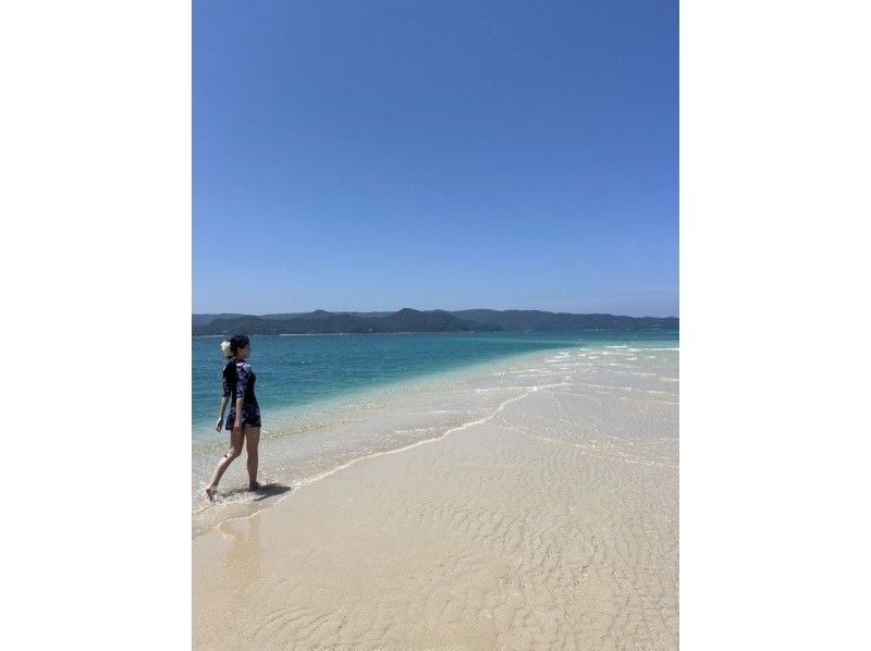 【奄美大島 / 完全送迎 / 1組様限定貸切案内】半日フリーツアーの紹介画像