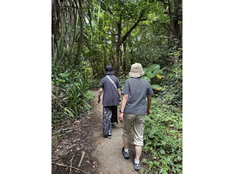 【奄美大島 / 完全送迎 / 1組様限定貸切案内】半日フリーツアーの紹介画像