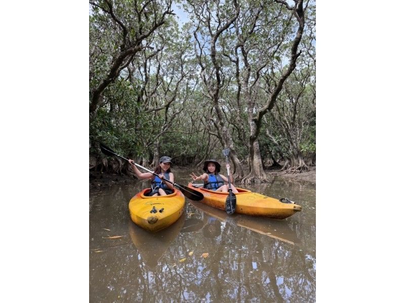 【奄美大島 / 完全送迎 / 1組様限定貸切案内】半日フリーツアーの紹介画像