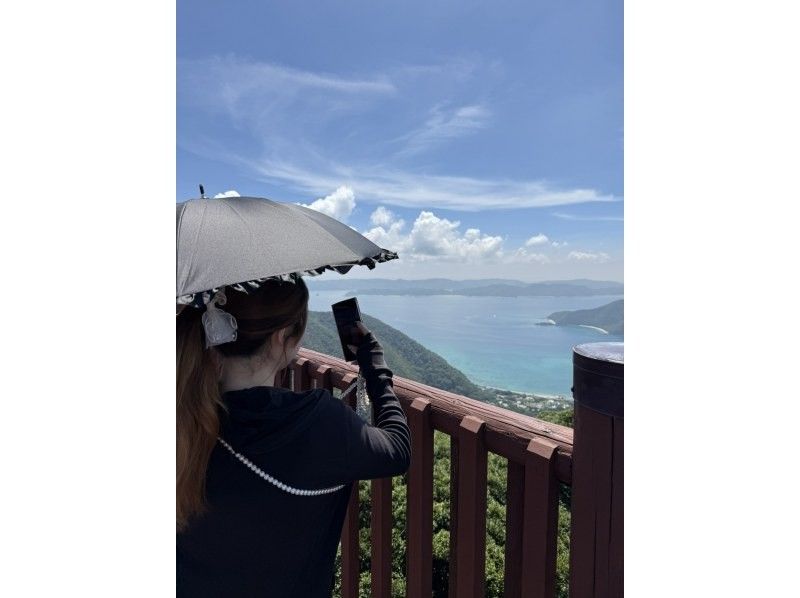 【奄美大島 / 完全送迎 / 1組様限定貸切案内】半日フリーツアーの紹介画像