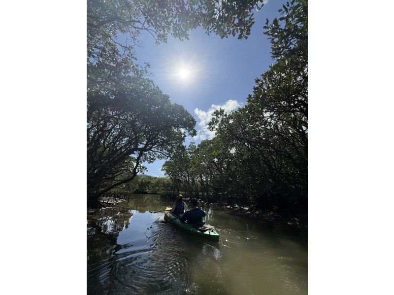 【奄美大島 / 完全送迎 / 1組様限定貸切案内】半日フリーツアーの紹介画像