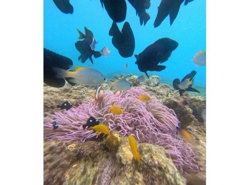 当日予約大歓迎!!【沖縄・恩納村】沖縄県出身ガイドが案内するSUP&シュノーケリングツアー★ツアー中の写真・動画全て無料でプレゼント!! 当日予約大歓迎!!【沖縄・恩納村】沖縄県出身ガイドが案内するSUP&シュノーケリングツアー★ツアー中の写真・動画全て無料でプレゼント!!