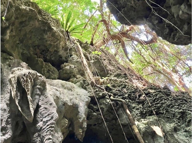【伊良部島】冬季おすすめ‼︎絶景と秘境を巡るドライブ&フォト撮影ツアー《3時間半コース》の紹介画像