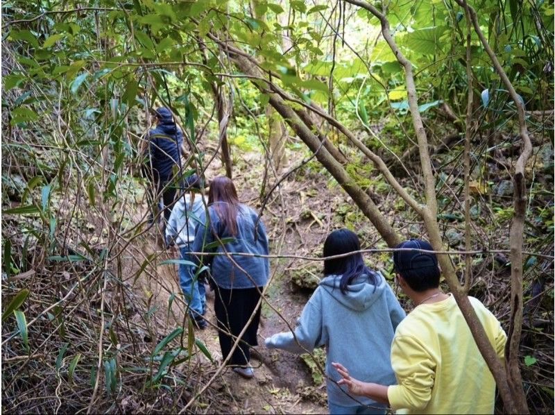 【伊良部島】冬季おすすめ‼︎絶景と秘境を巡るドライブ&フォト撮影ツアー《3時間半コース》の紹介画像