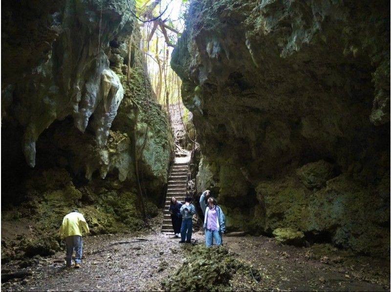 【伊良部島】冬季おすすめ‼︎絶景と秘境を巡るドライブ&フォト撮影ツアー《3時間半コース》の紹介画像