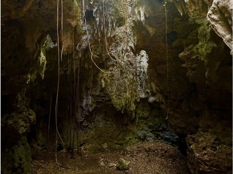 【伊良部島】冬季おすすめ‼︎絶景と秘境を巡るドライブ&フォト撮影ツアー《3時間半コース》の紹介画像