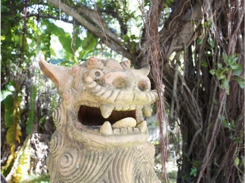 【沖縄・伊良部島】絶景と秘境を巡るドライブ&フォト撮影ツアー《3時間半コース》の紹介画像