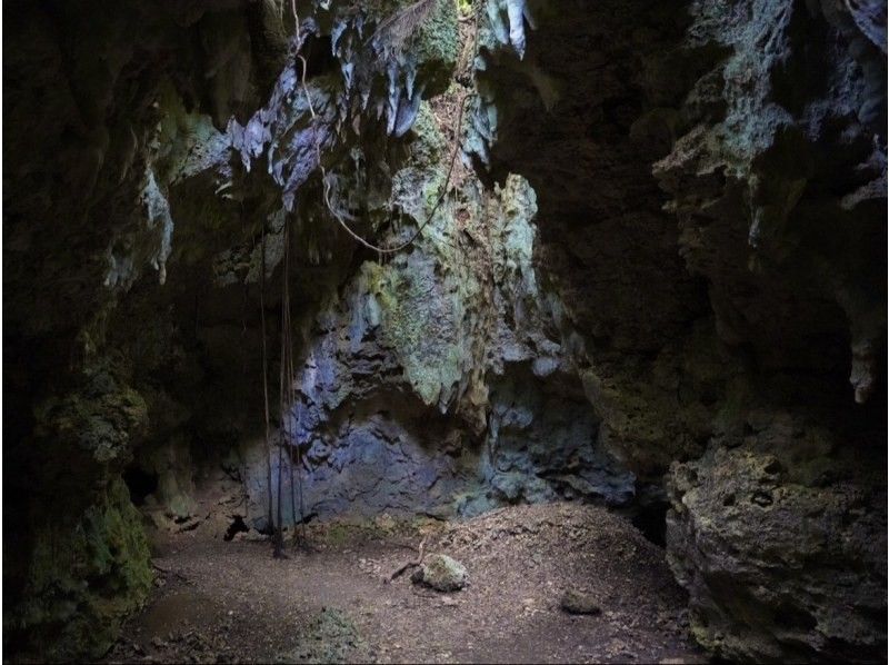 【伊良部島】冬季おすすめ‼︎絶景と秘境を巡るドライブ&フォト撮影ツアー《3時間半コース》の紹介画像