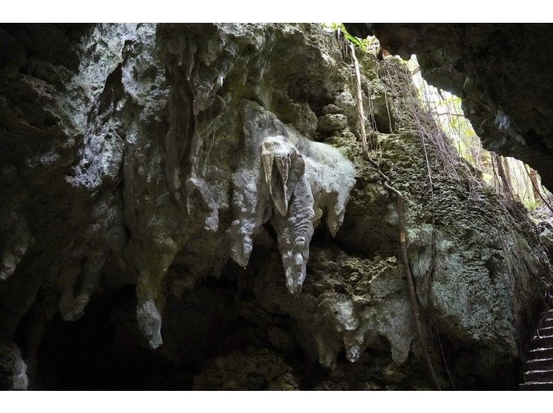 【伊良部島】冬季おすすめ‼︎絶景と秘境を巡るドライブ&フォト撮影ツアー《3時間半コース》の紹介画像