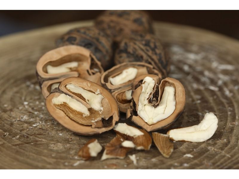 【大人限定】和カンジキで巡る旧下野街道スノートレッキング＆大内宿の伝統「くるみそば」ランチ付｜会津盆地を一望する絶景と歴史体験の紹介画像