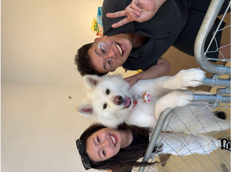 【秋田・大館】モフモフ秋田犬とふれあい！1ドリンク付き・写真/動画撮影OK （30分 ）の紹介画像