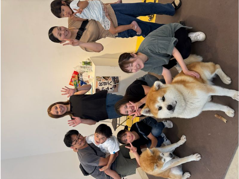 【秋田・大館】モフモフ秋田犬とふれあい！1ドリンク付き・写真/動画撮影OK （30分 ）の紹介画像