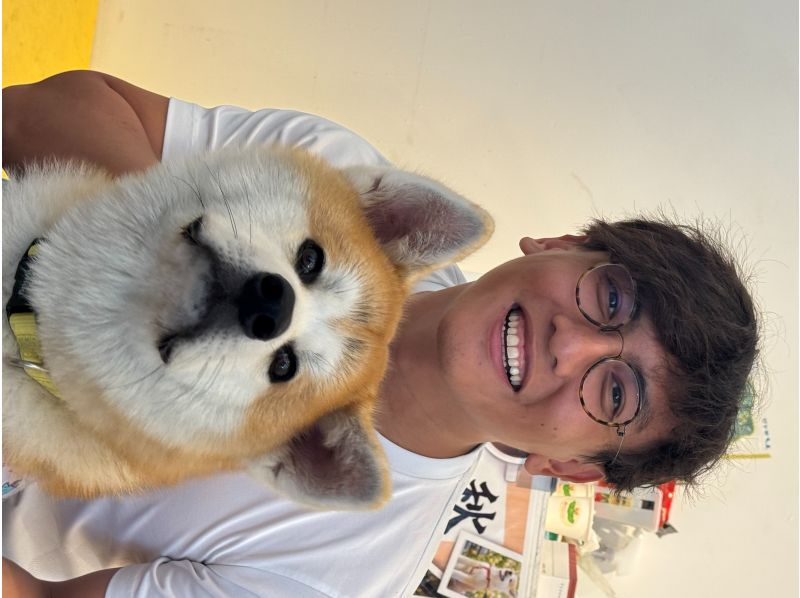 【秋田・大館】モフモフ秋田犬とふれあい！1ドリンク付き・写真/動画撮影OK （30分 ）の紹介画像