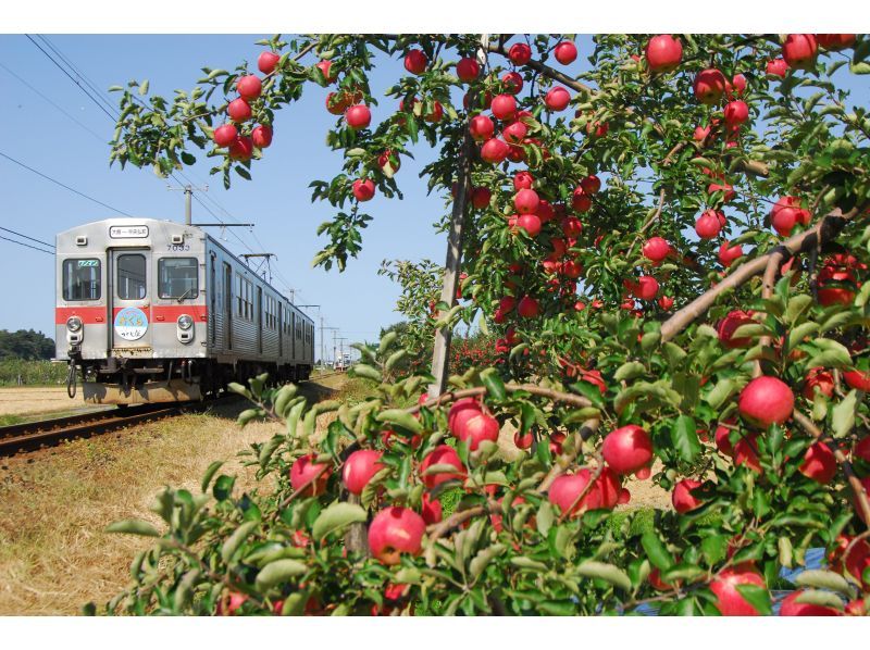 【青森/津輕】港南鐵道大黑大人票：一日通票，可搭乘大塚線及港南線。の紹介画像