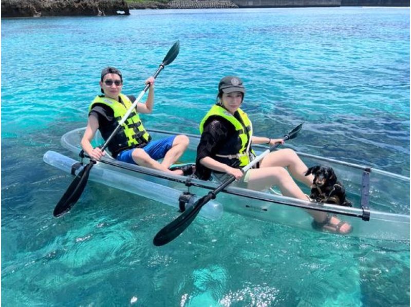 【沖縄・宮古島】愛犬と一緒に透明度抜群の海の散歩へ！クリアカヤックツアー（1時間～1時間半）愛犬連れOK・2歳から参加OK・当日予約可の紹介画像