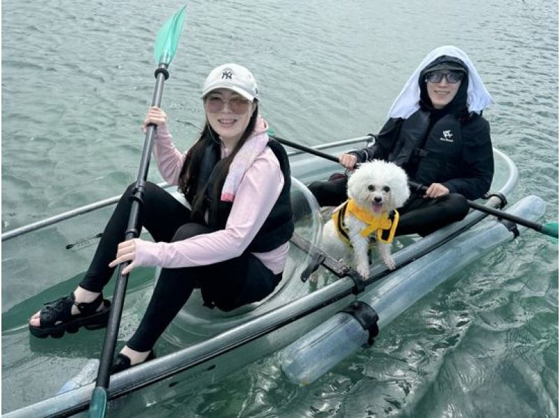 【沖縄・宮古島】愛犬と一緒に透明度抜群の海の散歩へ！クリアカヤックツアー（1時間～1時間半）愛犬連れOK・2歳から参加OK・当日予約可の紹介画像