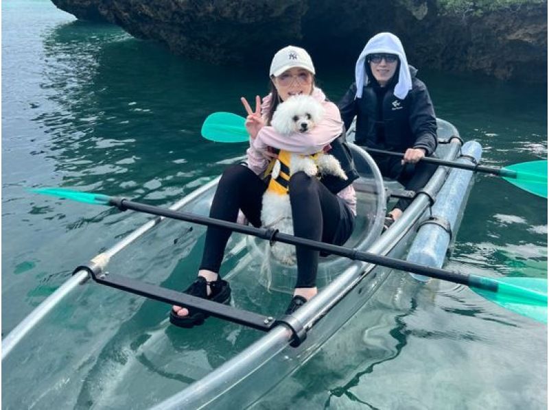 【沖縄・宮古島】愛犬と一緒に透明度抜群の海の散歩へ！クリアカヤックツアー（1時間～1時間半）愛犬連れOK・2歳から参加OK・当日予約可の紹介画像