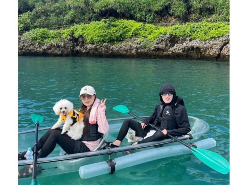 【沖縄・宮古島】愛犬と一緒に透明度抜群の海の散歩へ！クリアカヤックツアー（1時間～1時間半）愛犬連れOK・2歳から参加OK・当日予約可の紹介画像