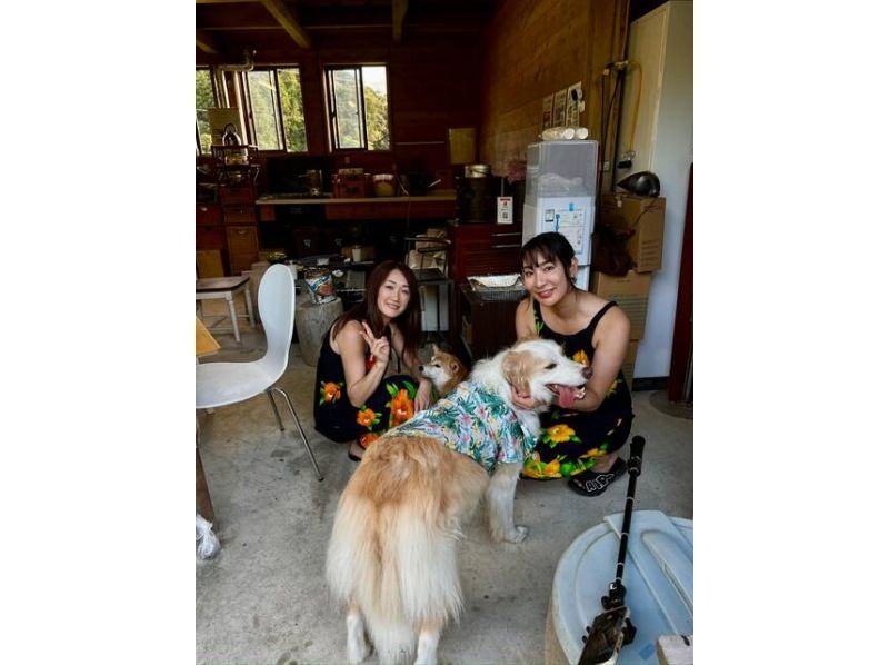 【千葉・南房総】食材は持ち込みOK！3万坪の里山オアシス南房総でBBQ場貸出しプランの紹介画像