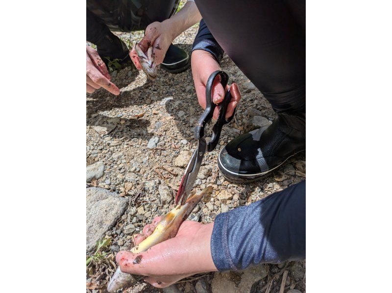 【長野・松本】&rdquo;キャニオニング&rdquo;１DAYコース　嬉しいランチ付き♪の紹介画像