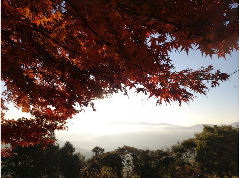 【広島・三次】自然と山波を満喫する欲張りツアー〈湖上SUPとハイキング／丸1日コース〉お子様・未経験者OK・広島西風新都から車で1時間の紹介画像