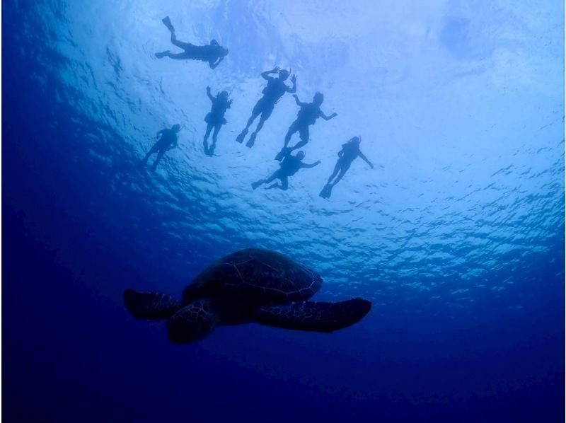 【沖縄・石垣島】半日◆水面マンタシュノーケル！冬季限定（12月～3月末）GoPro無料レンタル・器材無料レンタル・送迎無料の紹介画像