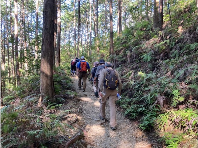 熊野古道中辺路のクライマックス！！伏拝王子～熊野本宮大社・大斎原　ベテランガイド同行の紹介画像