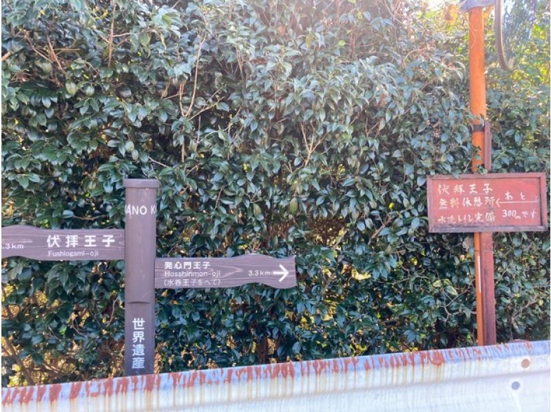 熊野古道中辺路のクライマックス！！伏拝王子～熊野本宮大社・大斎原　ベテランガイド同行の紹介画像