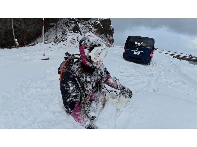 ≪冬季FUNダイビング！≫【北海道・積丹-余市】札幌発(無料送迎)or現地集合！MY器材で真冬の2ボートファンダイビングで楽しもう！の紹介画像