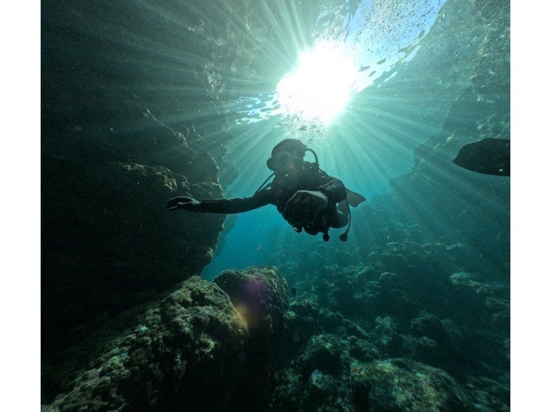 【青の洞窟】＊格安ダイビングプラン＊12歳から45歳限定！ツアー内容をカスタマイズ可！！の紹介画像