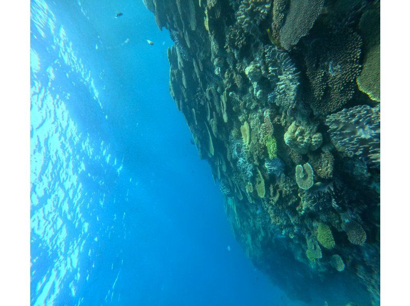 【青の洞窟】＊格安ダイビングプラン＊12歳から45歳限定！ツアー内容をカスタマイズ可！！の紹介画像