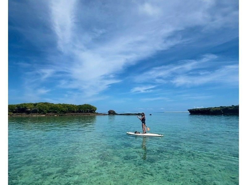 【海亀90％遭遇】無人島SUP＋シュノーケル《写真付き》の紹介画像