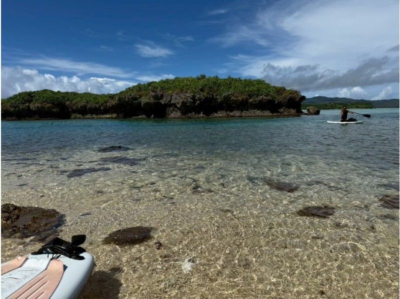 【海亀90％遭遇】無人島SUP＋シュノーケル《写真付き》の紹介画像